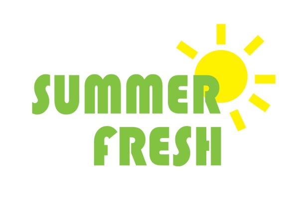 logotipo summer